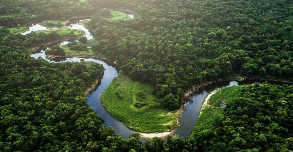 Technologia Buletedana