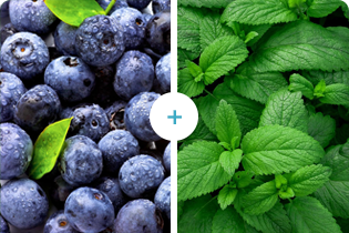 Technologia Buletedana