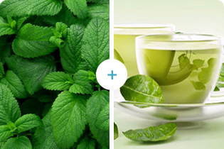 Technologia Buletedana