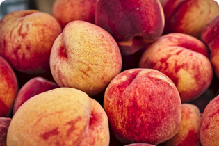 Technologia Buletedana