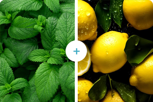 Technologia Buletedana