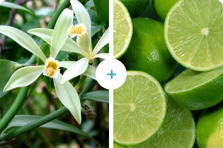 Technologia Buletedana