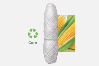 Technologia Buletedana